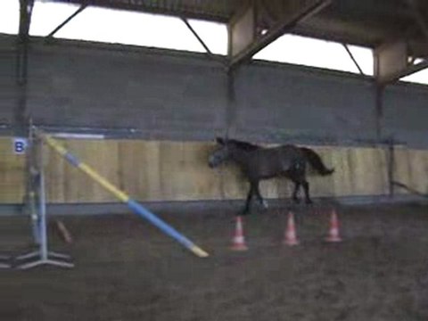 cheval 3 ans obstacle en liberte