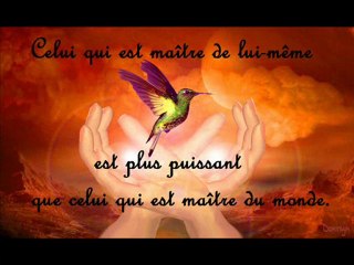 les 9 citations de bouddha