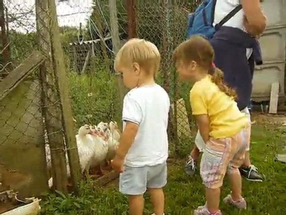 île de Ré août 2009