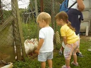 île de Ré août 2009