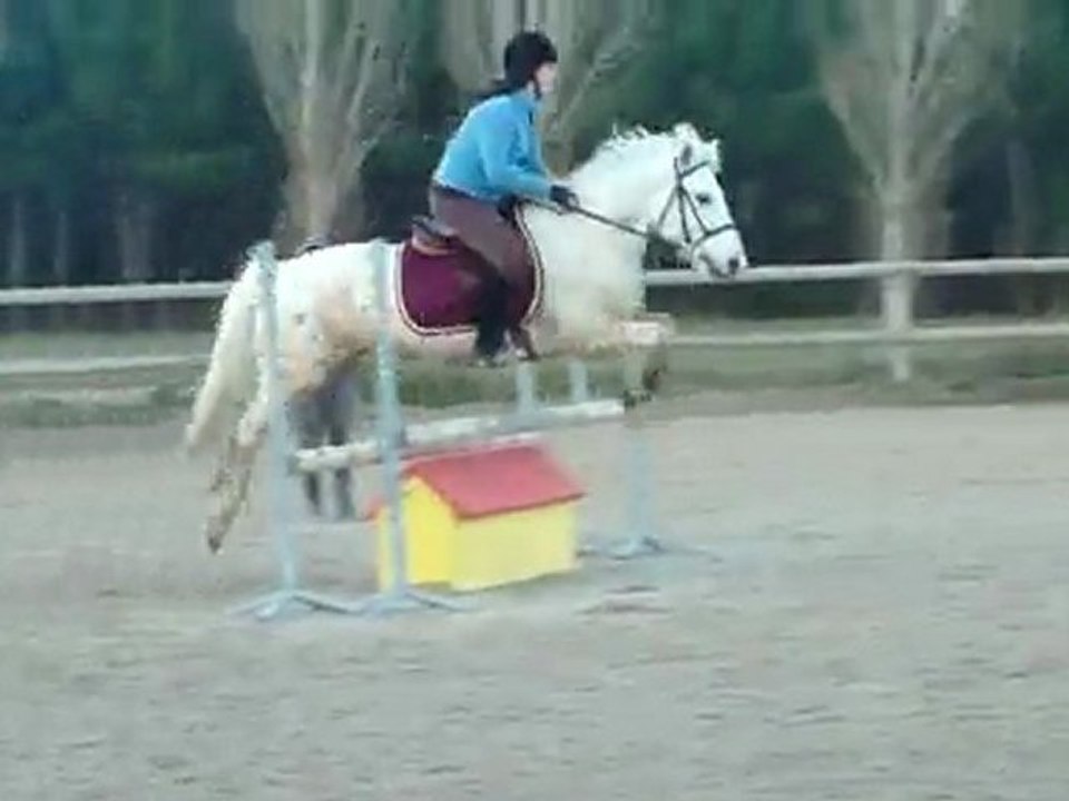Galop 5 Obstacle