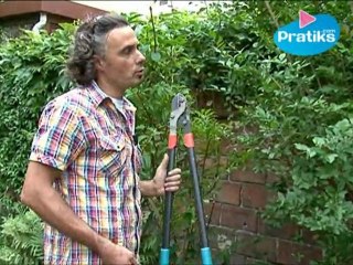 Les outils de taille pour le jardinage