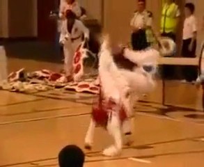 L'incontro di karate più corto della storia