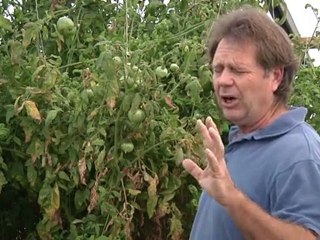 How Structured Water Can Change Our World