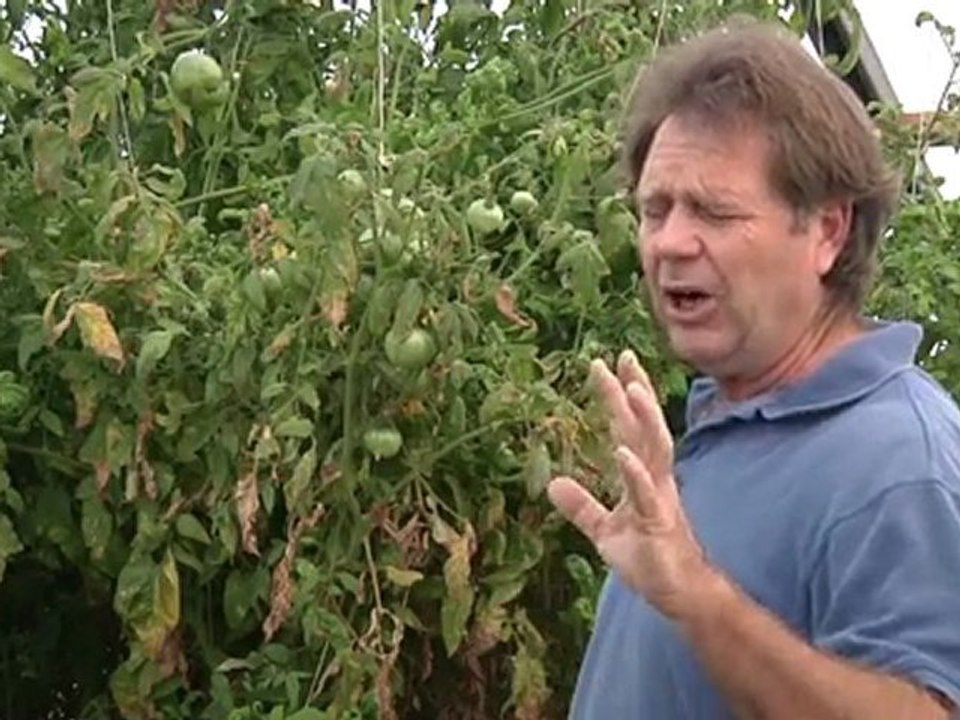 How Structured Water Can Change Our World