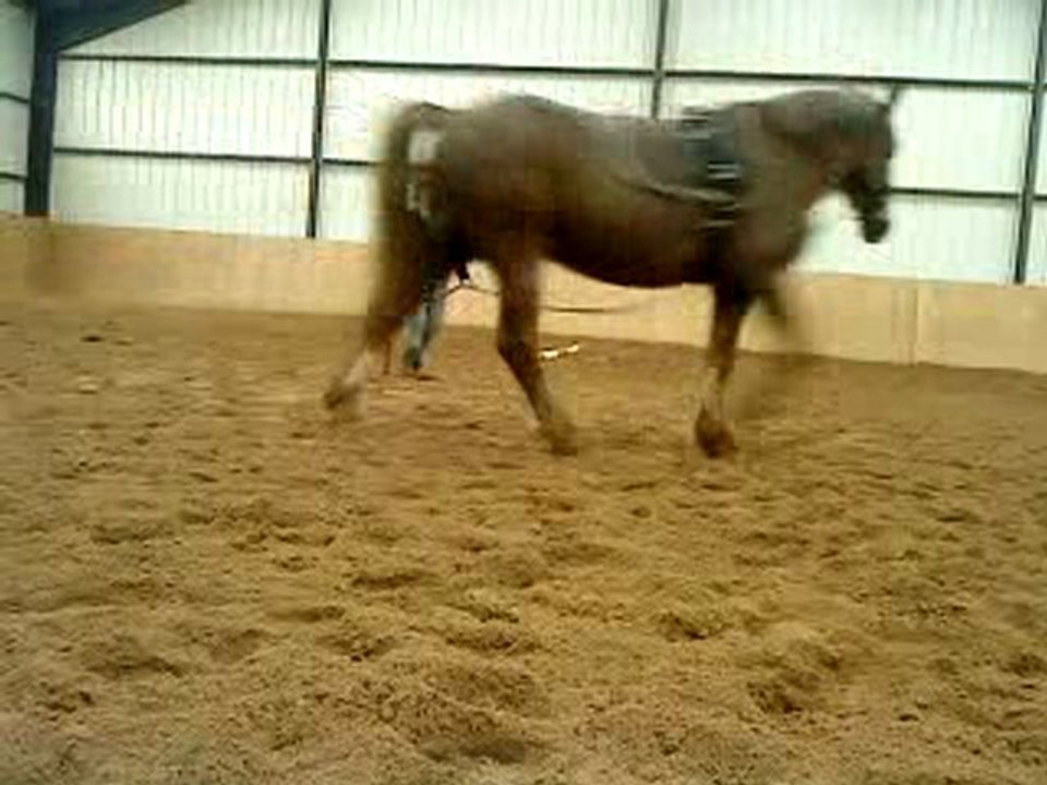 Bijou en longe