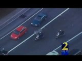 Atlanta: Zebra Fugge Dal Circo e Paralizza L'Autostrada