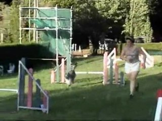 Vesta et Kiki agility 2009