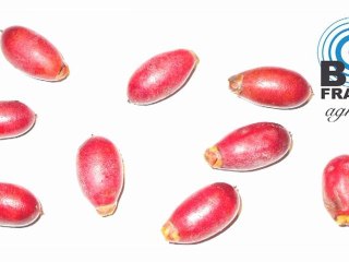 BADABOUM 4/5 éco-journal gouvernemental interrégional