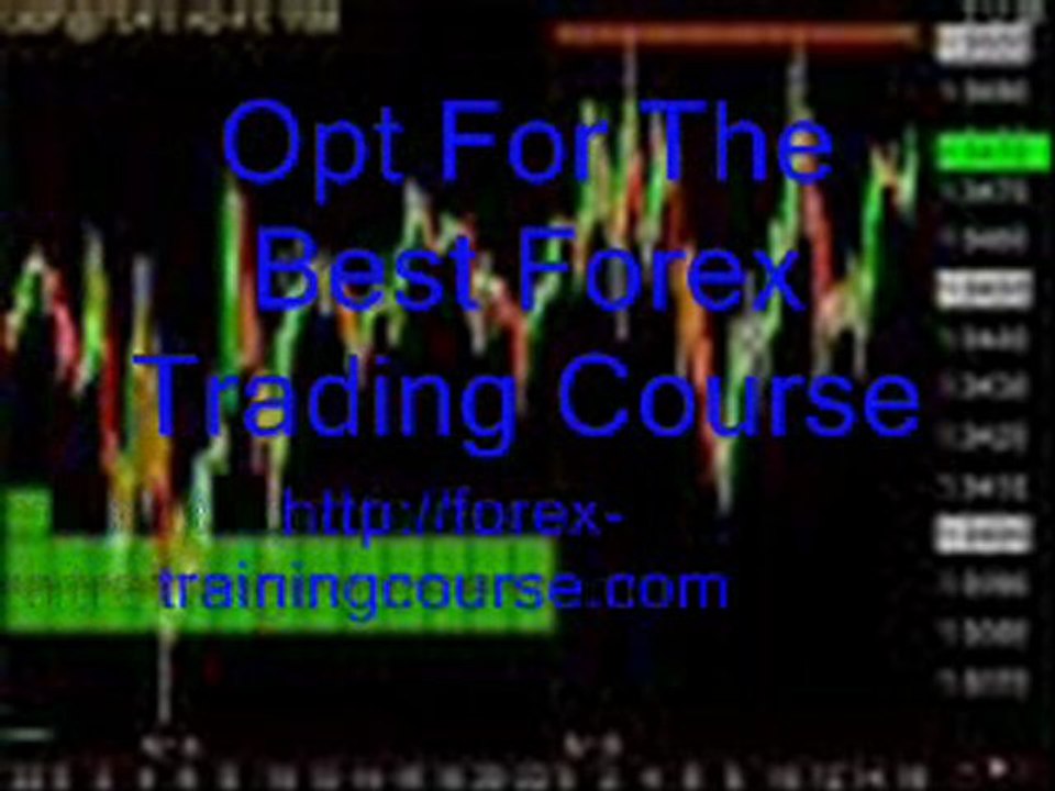Forex Training Course6