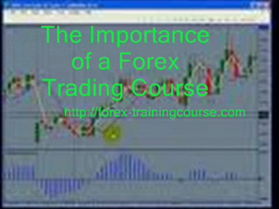 Forex Training Course12