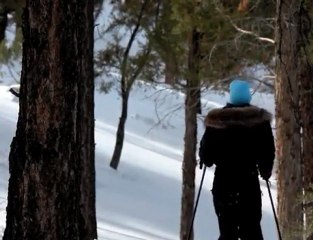 Big Bear Snowshoeing