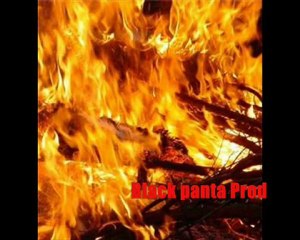 brile tout bolhead fresh