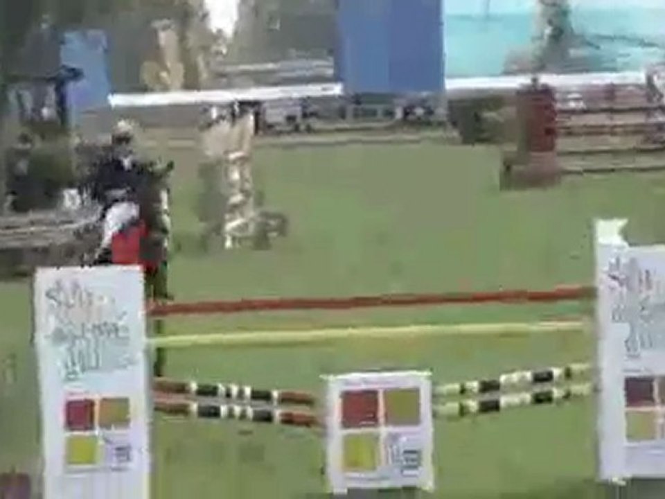 hongre irlande 9ans pour 1m50