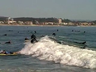 Currumbin Alley Gold Coast