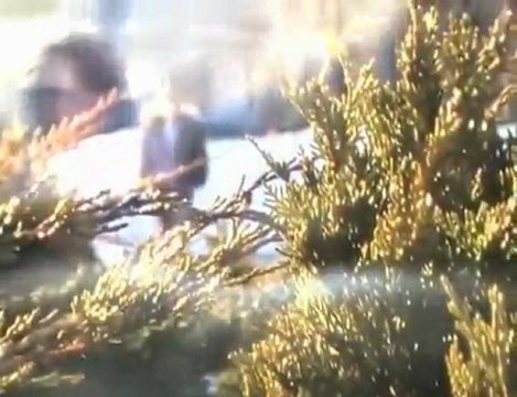 Drugs & Alcohol Addiction Recovery : The Deena Griffith ...