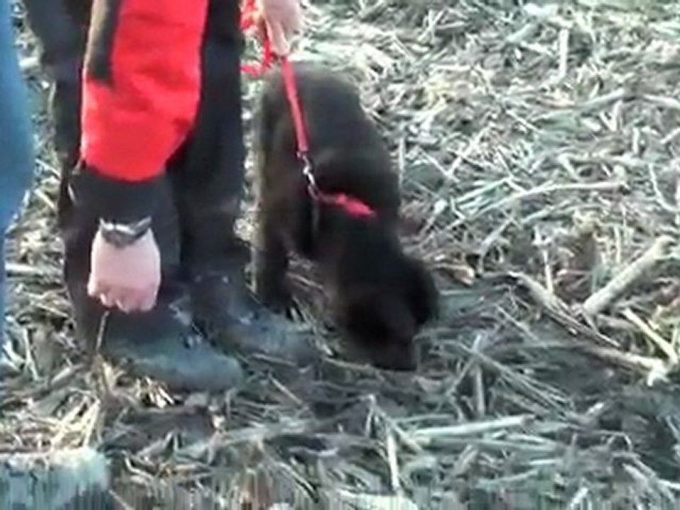 Echo des collines du temps : 1ére piste