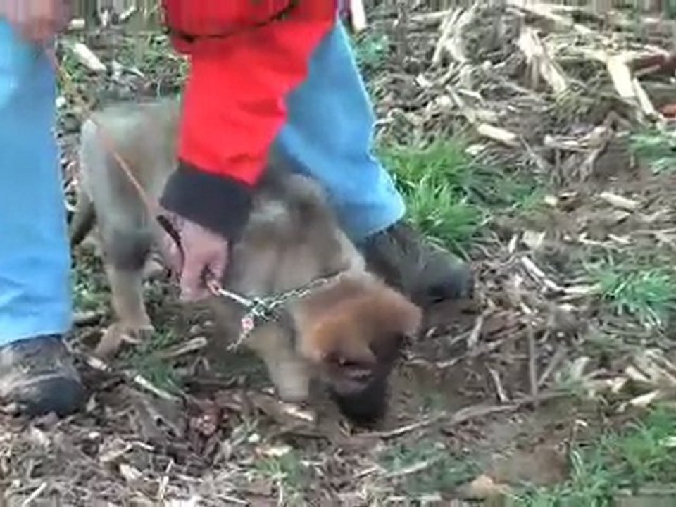 eik des collines du temps :1ere piste