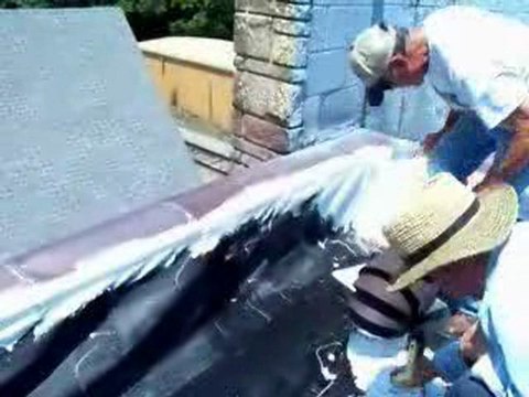 Existing EPDM Rubber Roof