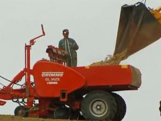 Le Titanic Apicole  Syndrome d'effondrement des abeilles 4