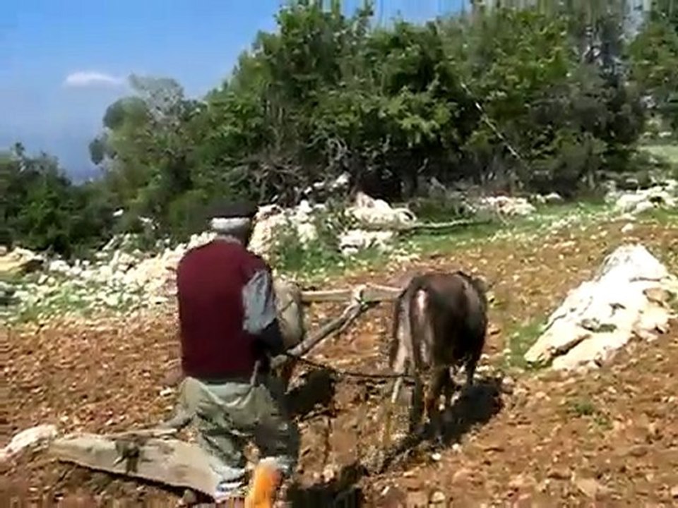 Karasabanla çiftçilik 6