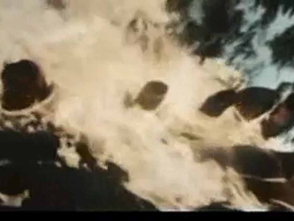 Click (2010)S-Cam Rip Part-6