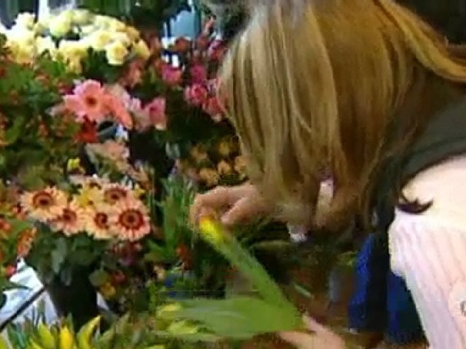 Westerwelles feldzug gegen den sozialstaat   quer br