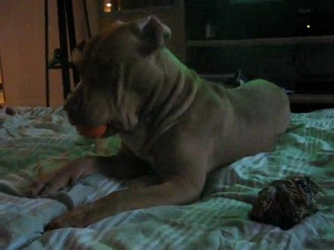 thisney.blogg.se BALDER 100216