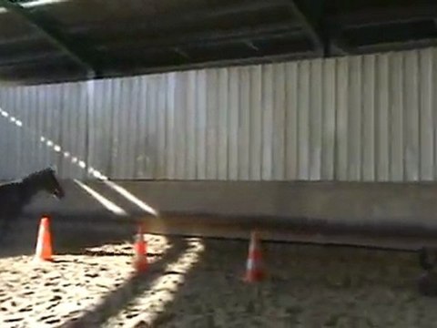 tatoki saut en liberté oxer 2