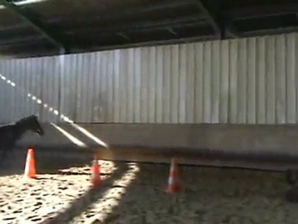 tatoki saut en liberté oxer 2