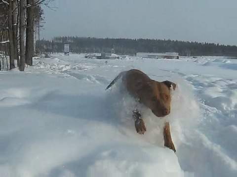 Balder i snön ,100219