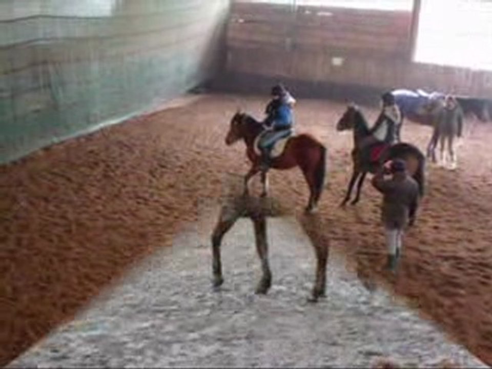 Quand les poneys du Lormoy se lâchent, épisode 2