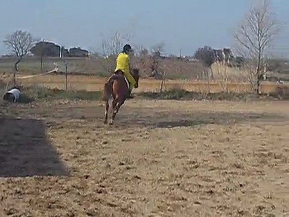 Rascado & Lisa , 14/02/10 , E3 à St Bruno , déguisé .