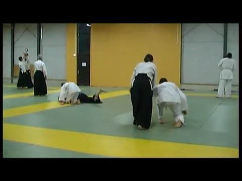 Entrainement du club d'aikido du champ fleuri 07