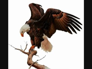 native indien Américan