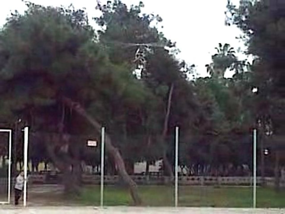 Trex 450 Sport v3 Test Uçuş 4