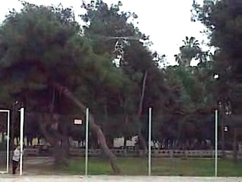 Trex 450 Sport v3 Test Uçuş 4