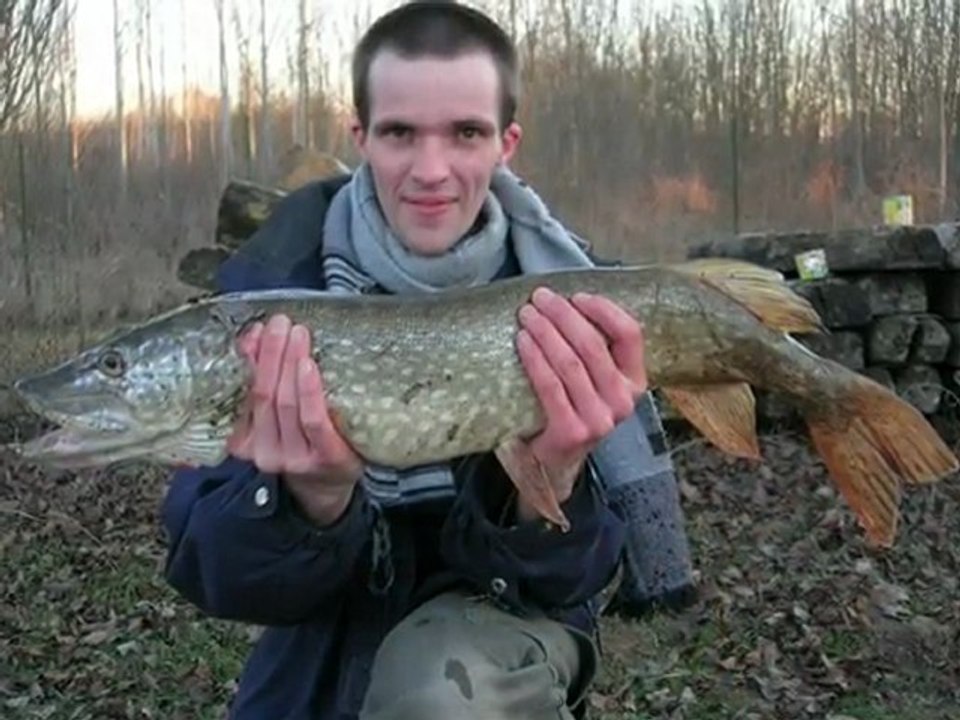 SAISON 2009 carpes silures entre amis !!!!!!!!!!!!!!!!!!!!!!