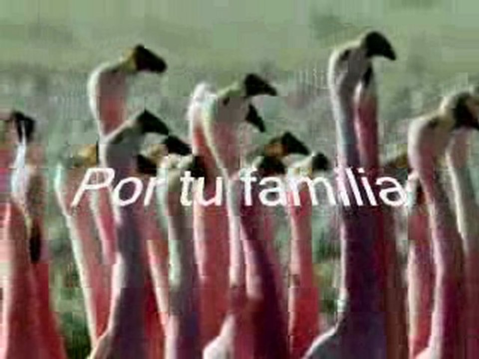 Ingresos Extras,con proyecto !! Basta Ya !!