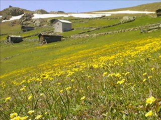 yakup atalay hoşbilezik havası kemençe süper