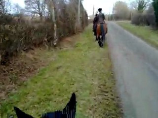 Ballade du 19 fev 2010-03