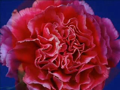 Mehmed Emin Ay & Mustafa Demirci Devasa Kaygılar