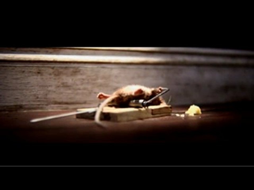 La_souris