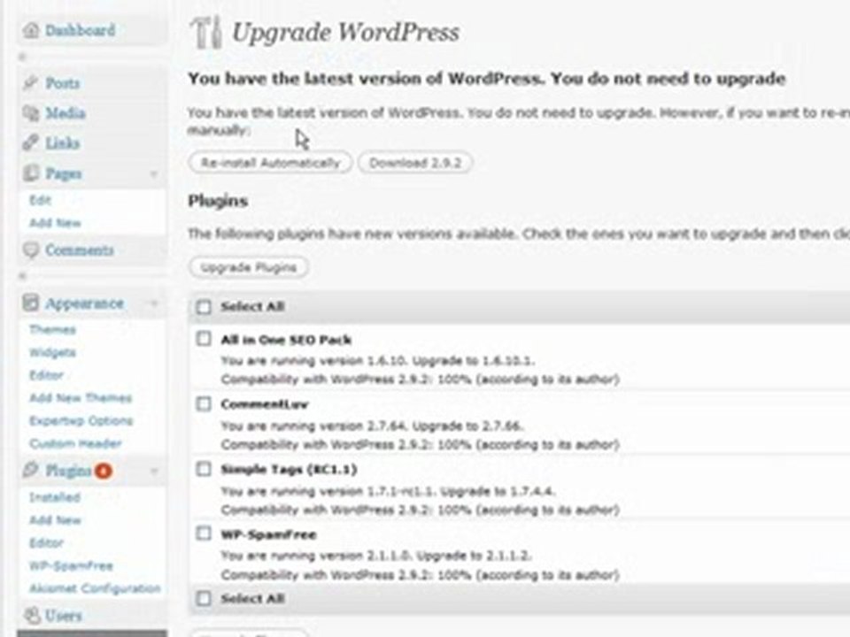 Upgrade all of your plugins at once on WordPress