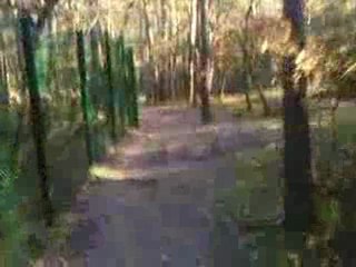 rando vtt a Malesherbes