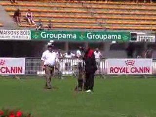 final ring 2009 bakari (partie 1)