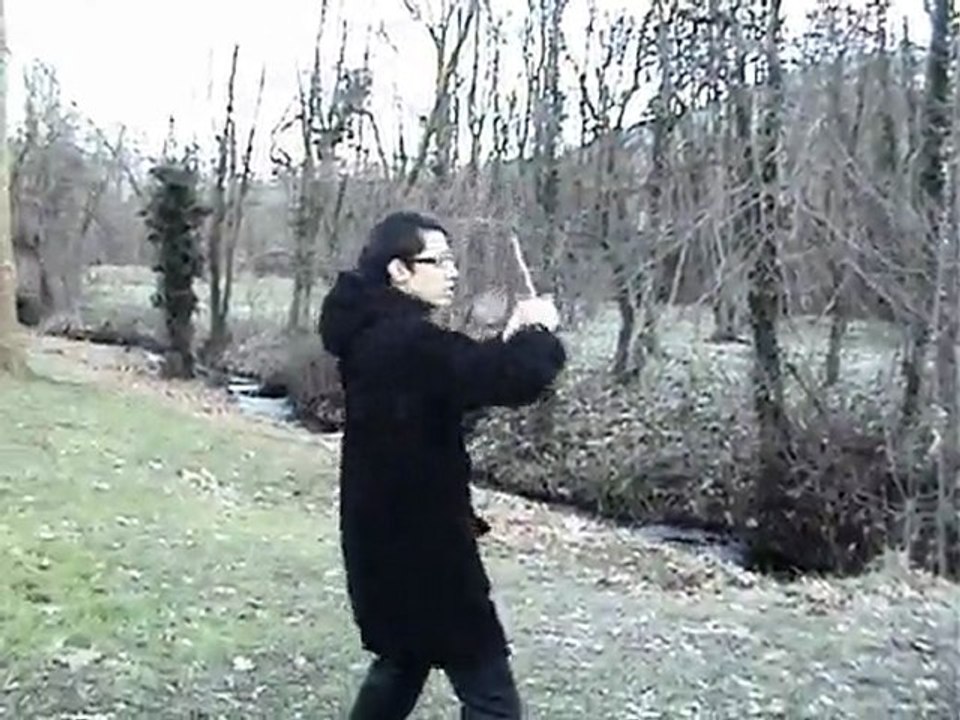 Test FX Harry Potter