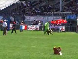 final ring 2009 bakari (partie 2)