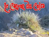 WWW.CHEZDJSEB.COM/AVENTURE/MONDE/PEROU/CHIVAY ET COLCA DIAPO