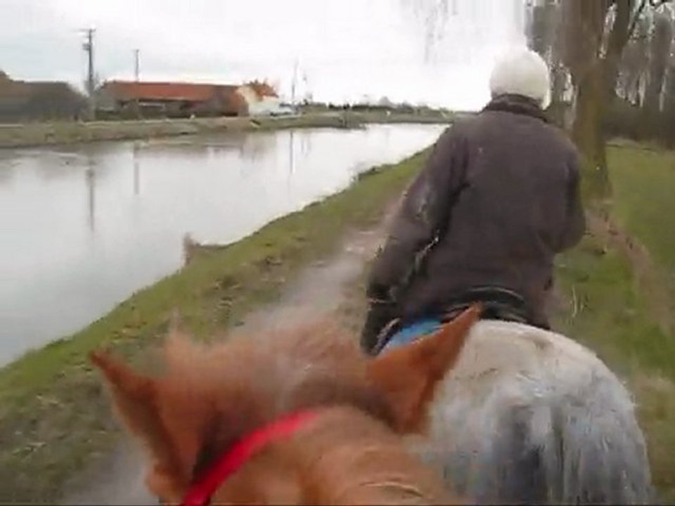 balade au fil de l'eau